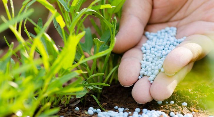 AB'den gübre krizine karşı yeni eylem planı