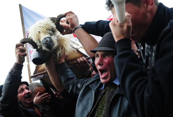 Koyun yetiştiricilerinden hükümete protesto - 1
