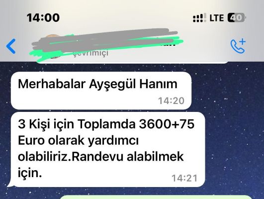 Türkiye’de Vize randevusu çetelerine büyük operasyon - 2