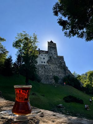 Rehberim Türkçe Romanya’da genişliyor - 3