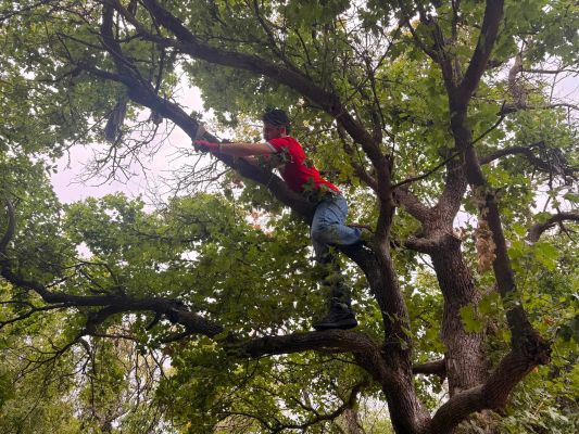 TİKA gönüllülerinden Babadağ’daki Türk türbelerine bakım - 1