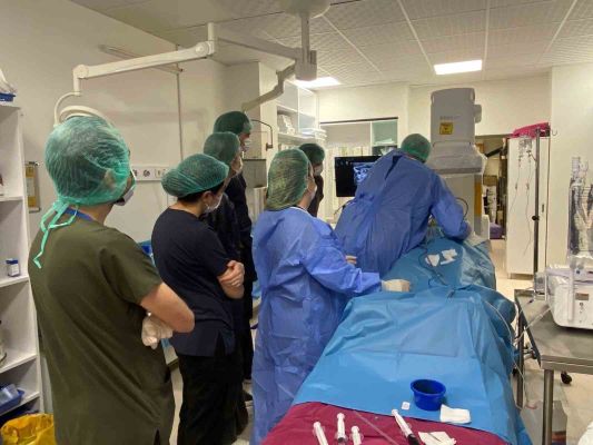 Romanyalı doktorlar kanser tedavisindeki yeni yöntemleri Türkiye’de öğrendi - 4