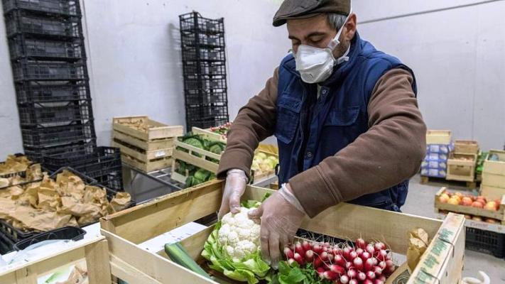 AB'de mevsimlik işçi krizi